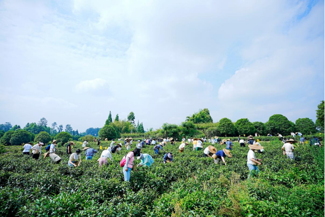 1684739685889890.png image.png