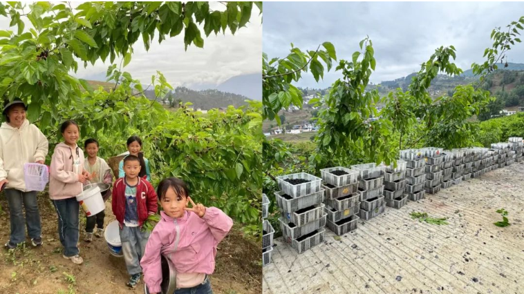 1714962067320880.png image.png